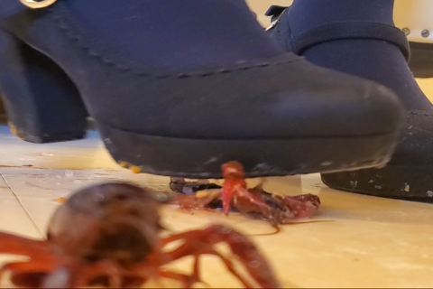 新「らんさん」 パンプス２