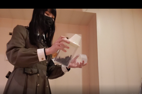 新「れいなちゃん」コウロギ１セール２０００→１２００