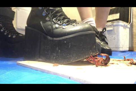 4回目撮影、ダンスが得意な美人JDと可愛い友達、ダブルクラ...