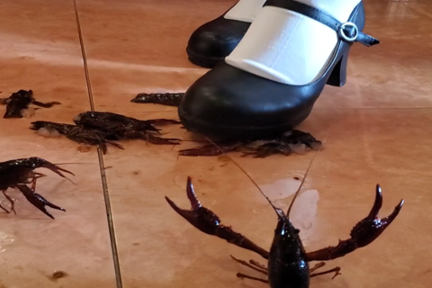 新「さほちゃん」 パンプス３