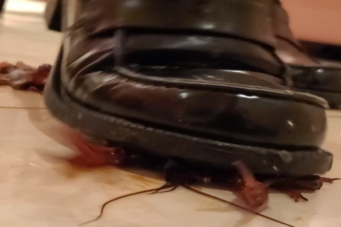 新「らんさん」ローファー１