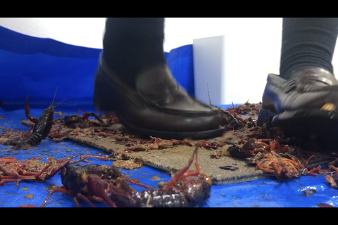 7回目撮影‼️可愛いJDダンスクラッシュ　全編制服　足元ア...