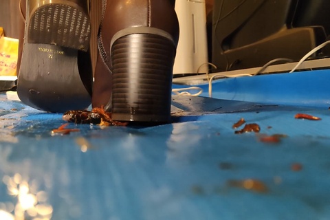 (再販）みくちゃんのショートブーツでザリガニクラッシュvol4