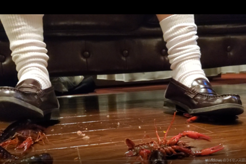 新「さほちゃん」ハルタ白１セール１８００→１２００