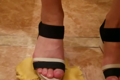 フードクラッシュ14