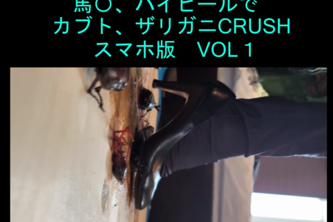 めいちゃんの馬〇、ハイヒールでカブトムシ、ザリガニCRUS...