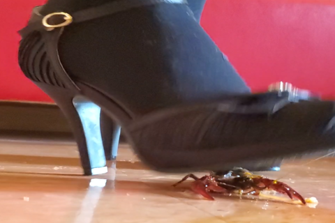 新「さほちゃん」 ハイヒール２