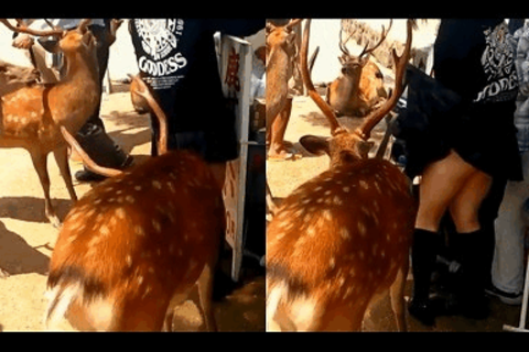 知りあいを撮っちゃった Vol.12