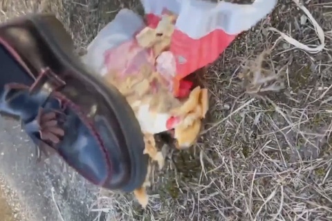 復刻版アマチュアCRUSH7　最終章