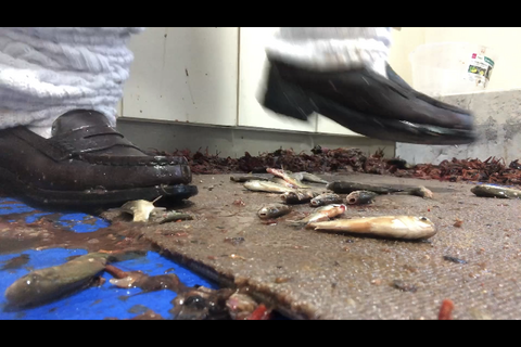 3回目撮影、かわいいJDダンスクラッシュ制服、ルーズローフ...