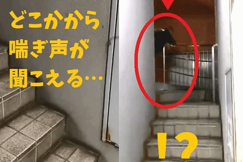 おふざけ、悪ノリ、ハプニング…なエッチな流出動画 Vol.54