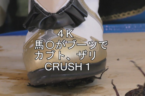 めいちゃんの馬〇コスプレ、ブーツでカブト、ザリCRUSHV...