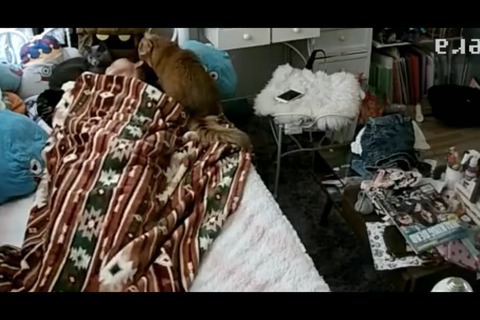 リアルガチオナニー28