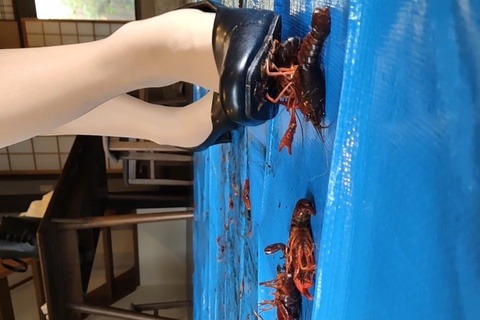 みくちゃんの特定外来種パンプスで踏み潰して駆除　縦編VOL２