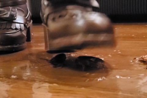 復刻「うさぎちゃん」２セール２０００→１２００