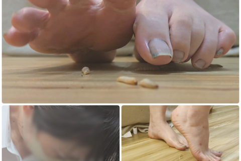 仕事終わりのOL　蒸れた巨大な足でクラッシュ