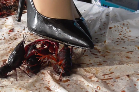 ３５．あいか５－３