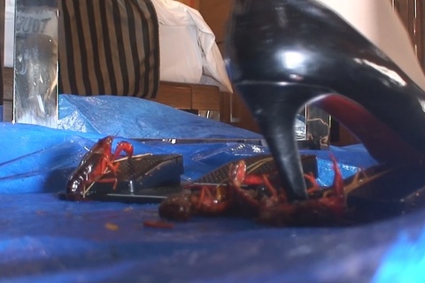 (再販）めいちゃんのゲームペダルでザリガニクラッシュVOL２