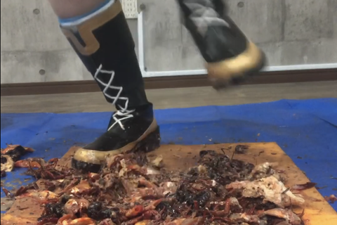 ⭕️マ娘メジ⭕️マックイー⭕️コスプレの残酷物語　足元アン...