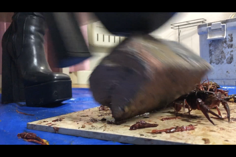 新登場❣️スーパーウルトラ超絶美人【清楚系】JDクラッシュ...