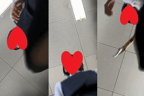 見上げたら星が見える Vol.6