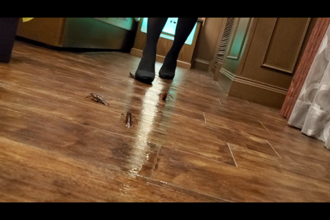 新「蘭さん」プレーンパンプス１