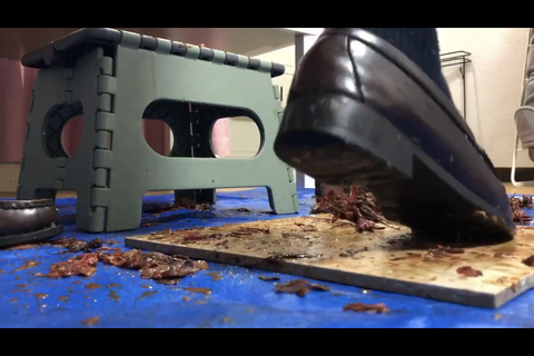 新登場❣️スーパーウルトラ超絶美人【清楚系】JDクラッシュ...