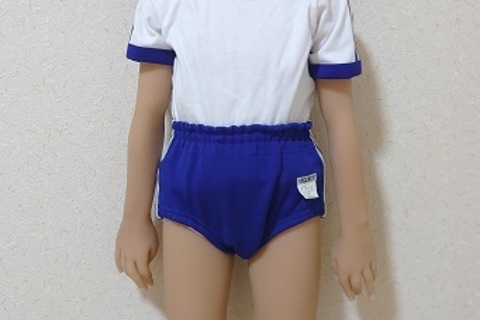 【モザイクなし】幼女シリーズ　ブルマ　パンモロ　15枚