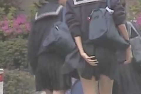 強風Ｋちゃん
