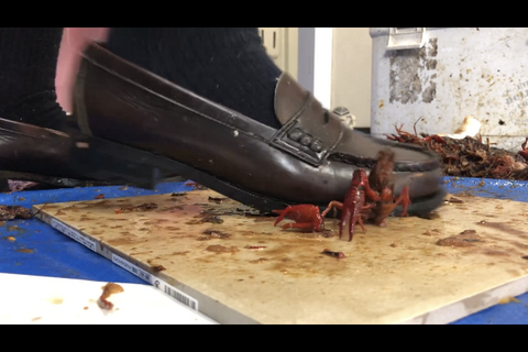 新登場‼️可愛い清楚系専門学生　制服　足元アングル編