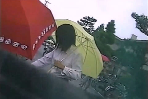 ぶんかさい