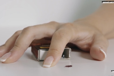 【巨大娘】綺麗なお姉さんに粉々にされる小人たち