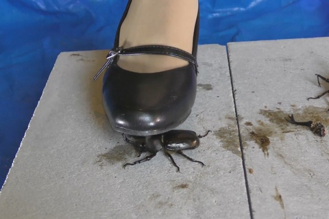 復刻版アイドル級美少女めいちゃんの私服パンプスでカブトム〇...