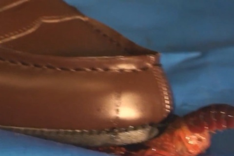 アイドル級美少女めいちゃんのドレミ演奏　洗面所でザリガニク...