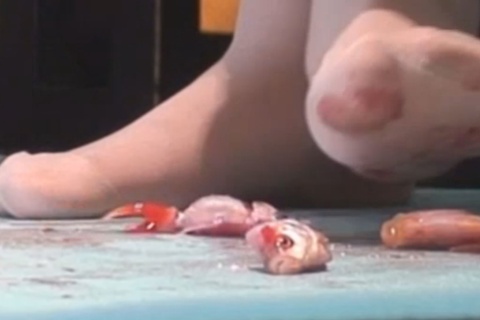 アイドル級美少女のストッキングで〇魚CRUSH　VOL1