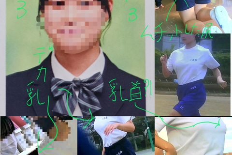 学校の少女ファイル5  巨乳スタイル抜群少女Oさん