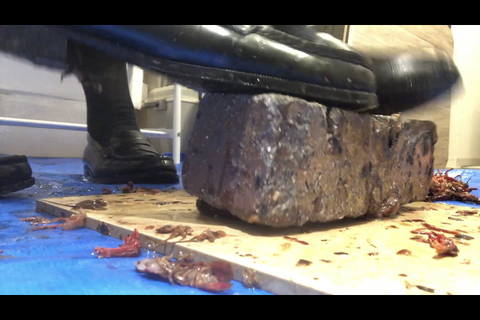 4回目撮影、ダンスが得意な美人JDと可愛い友達、ダブルクラ...