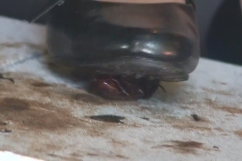 アイドル級美少女のコスプレ黒パンプスで兜CRUSH　vol1