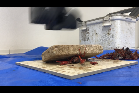 新登場‼️笑顔の可愛い妹系JD 私服　足元アングル編