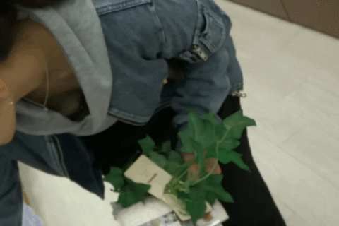 美人貧乳妻だけを狙った胸チラ盗撮。