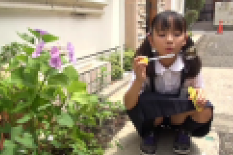 [廃盤] アイドルのたまご育成日記 Vol.1