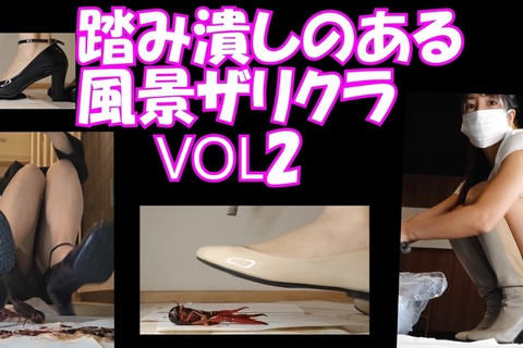 踏み潰しのある風景ザリクラ編VOL2　５３分