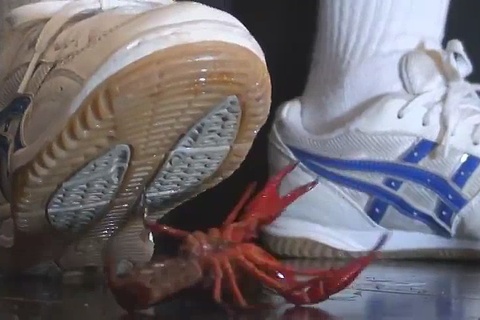 バレー部みくちゃんの踏み踏み処刑人　VOL2