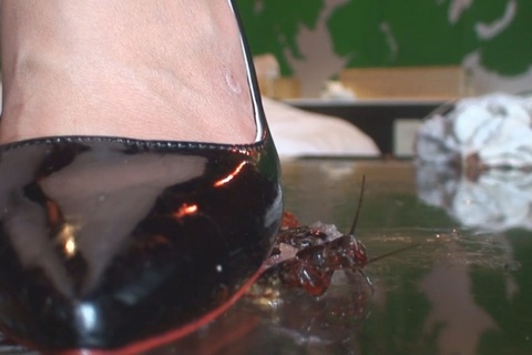 みくちゃんのサンタのガラステーブルでザリガニCRUSH 4