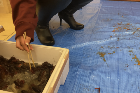 【インセクトクラッシュ】 私物ロングブーツでザリガニを踏み...