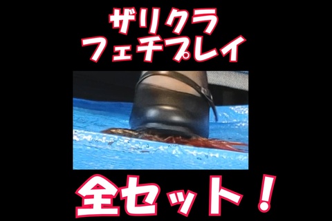 ゆみちゃんのザリガニ全セット！