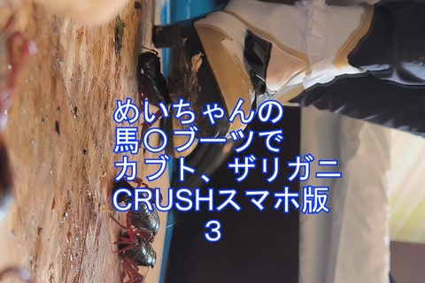 めいちゃんの馬〇コスプレ、ブーツでカブトムシ、ザリガニCR...