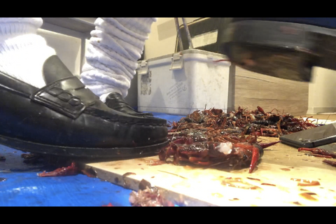 4回目撮影、ダンスが得意な美人JDと可愛い友達、ダブルクラ...