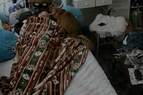 リアルガチオナニー　スパイ16