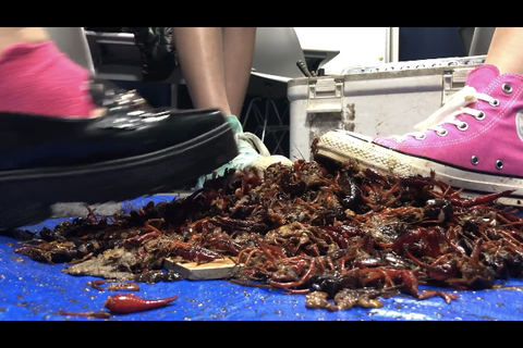 2回目撮影‼️高身長めちゃカワ岡山JDと友達との3人クラッ...